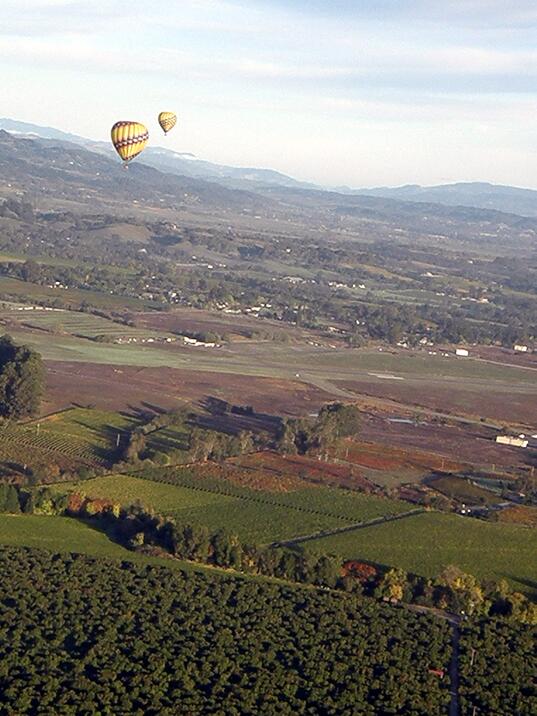 Balloons And Vineyards