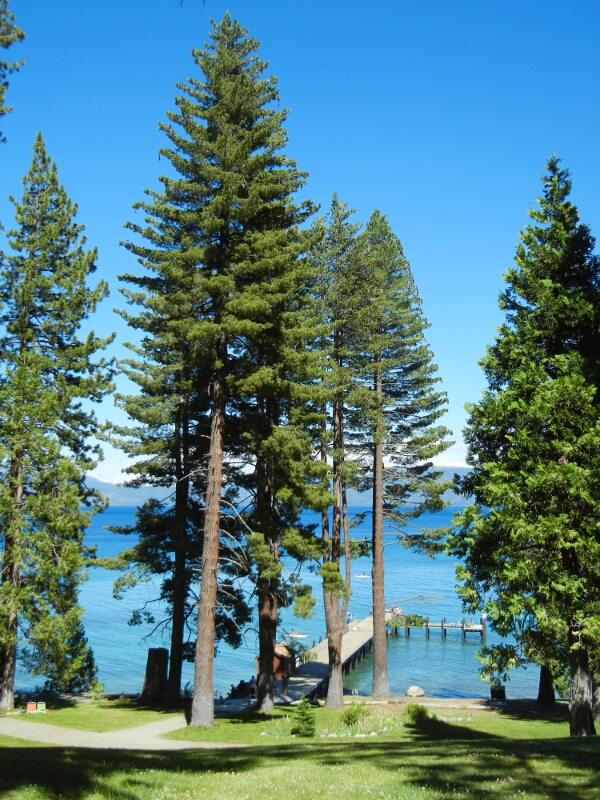 Tahoe Hellman Mansion  Dock