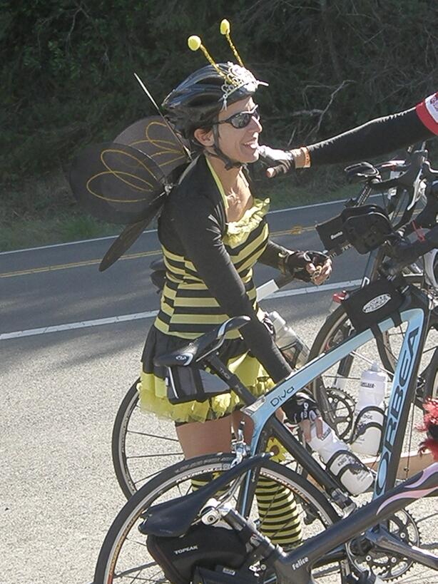 Yellow Jacket