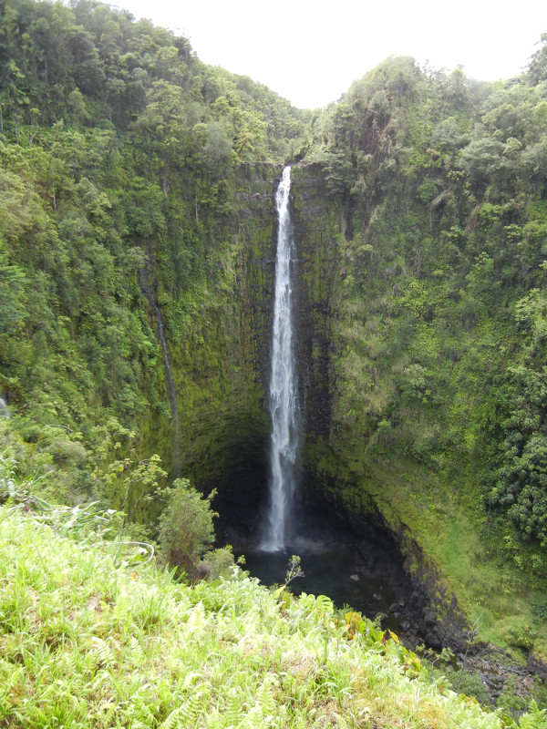 'Akaka Falls - 442ft. High