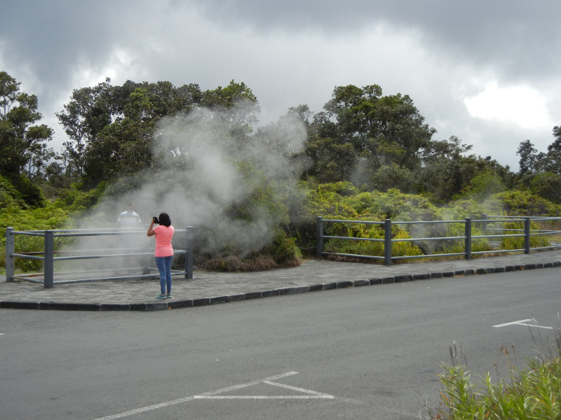 Steam Vents