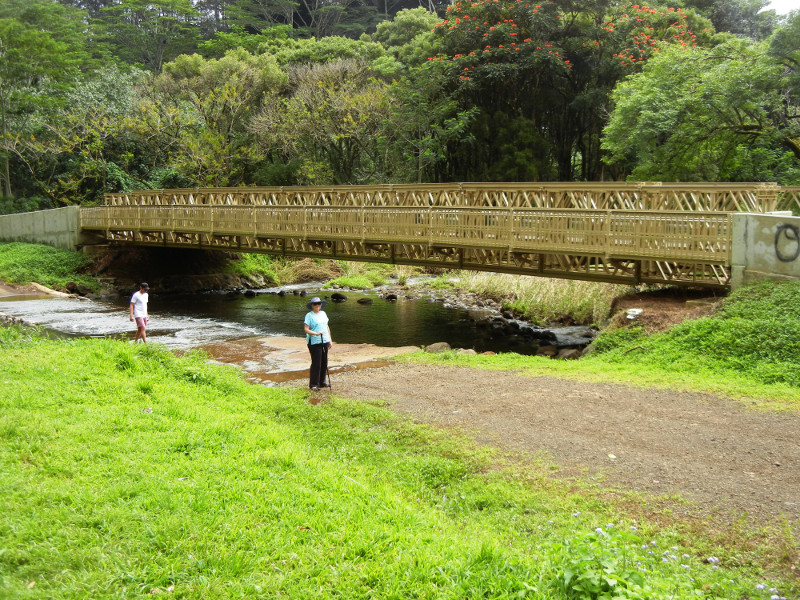 Keahua Arboretum Bridge