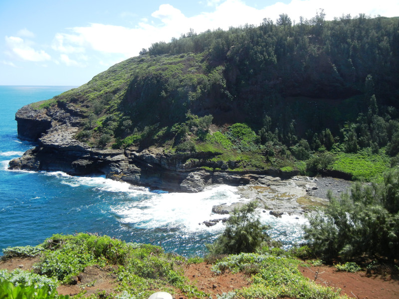 Kilauea Lighthouse View East