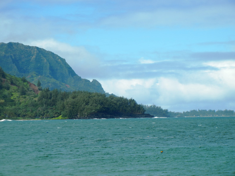 Kilauea Lighthouse View West