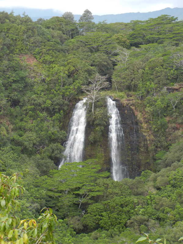 Opaeka'a Falls