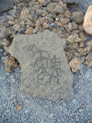 Puako-petroglyph-3_thumb.JPG