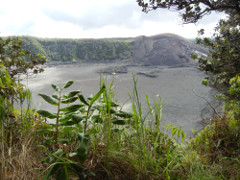 Volcano-Park-Kilauea-Iki-below_thumb.JPG