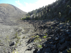 Volcano-Park-Kilauea-Iki-crater-south_thumb.JPG