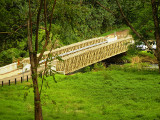 Keahua_Arboretum_bridge_2_thumb.JPG